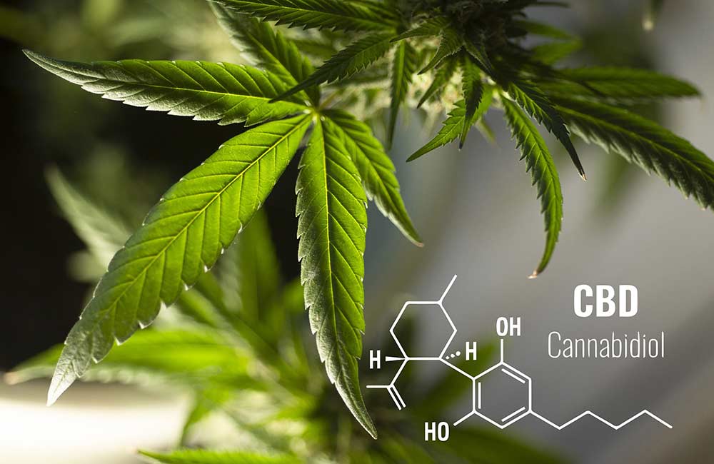 Czy CBD jest dobre na depresję?